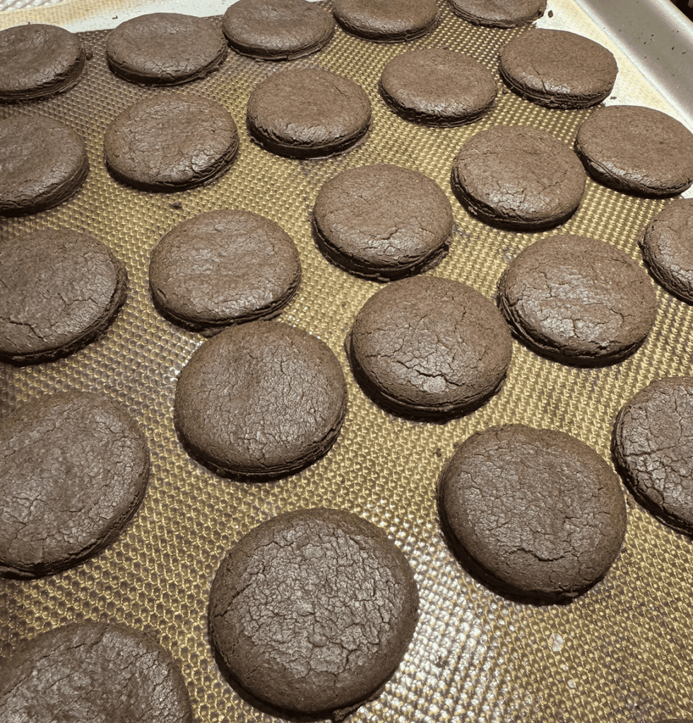 5 rows of brown circle cookies on a silicone baking sheet