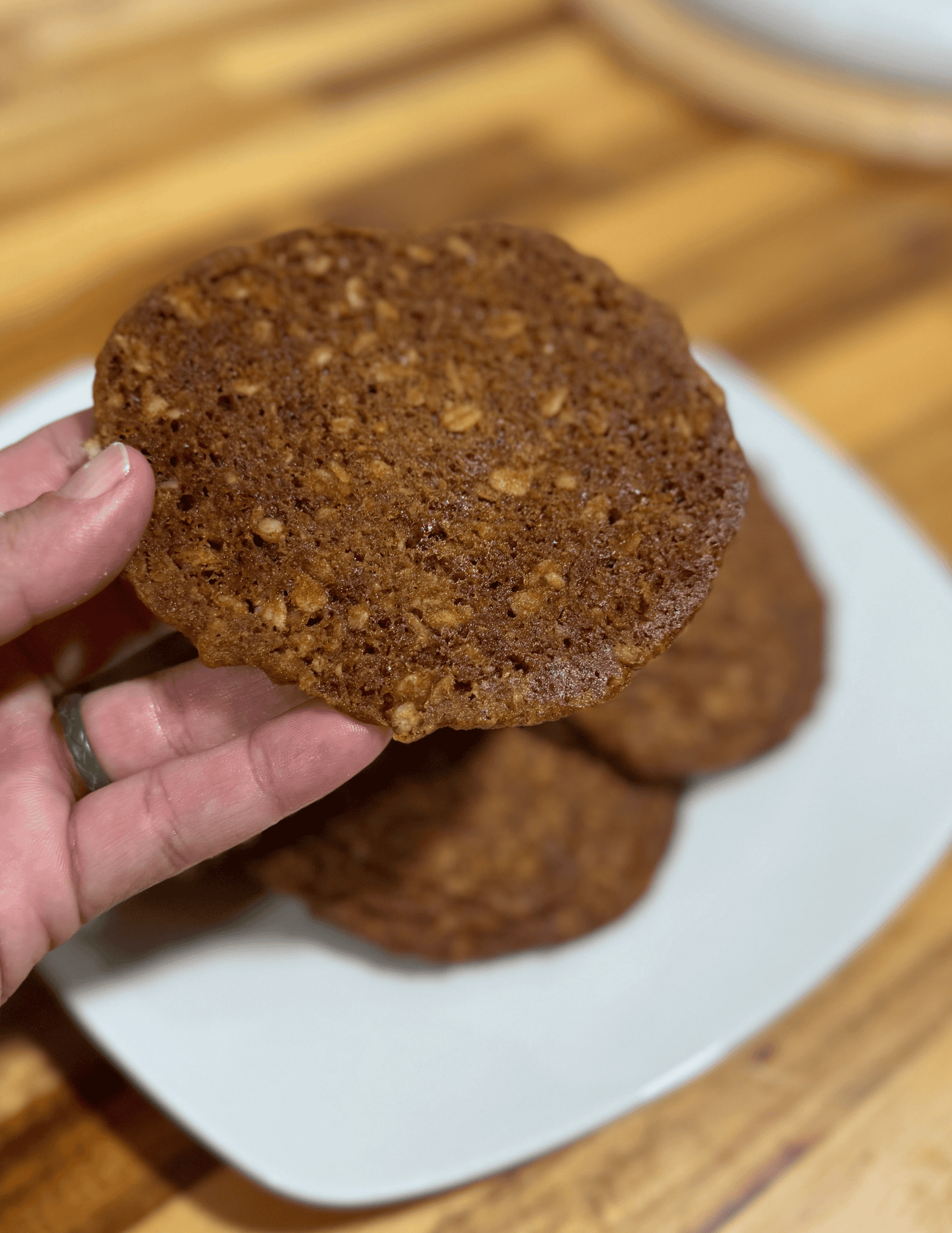 A hand holding a large round brown cookie with oatmeal in front of a cookies on a white plate on a wooden counter top 