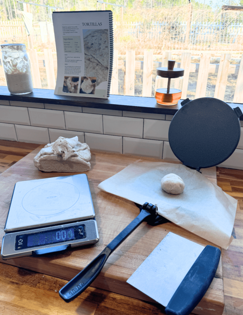 A food scale, ball of dough and ball of dough on parchment paper on a tortilla press